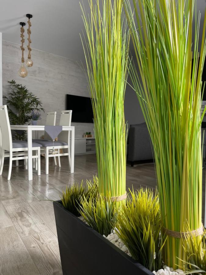 Apartamento Banferra Херес-де-ла-Фронтера Экстерьер фото
